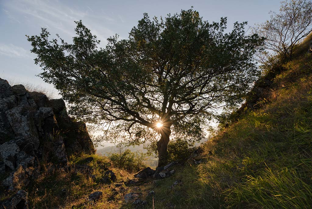 stage photo paysage en auvergne