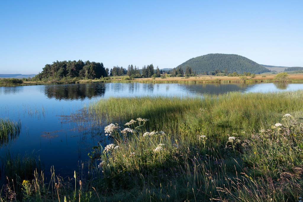 photographe auvergne