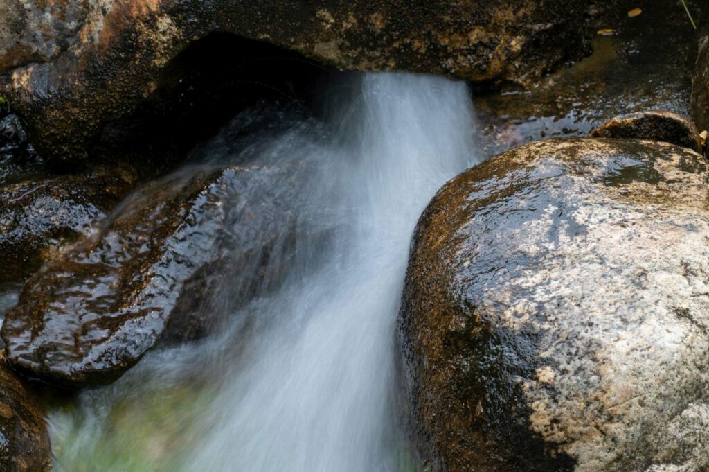 Photographier la nature