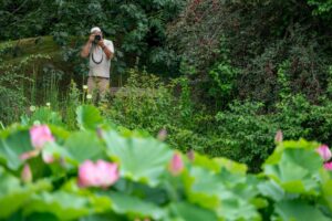 Photographier la nature