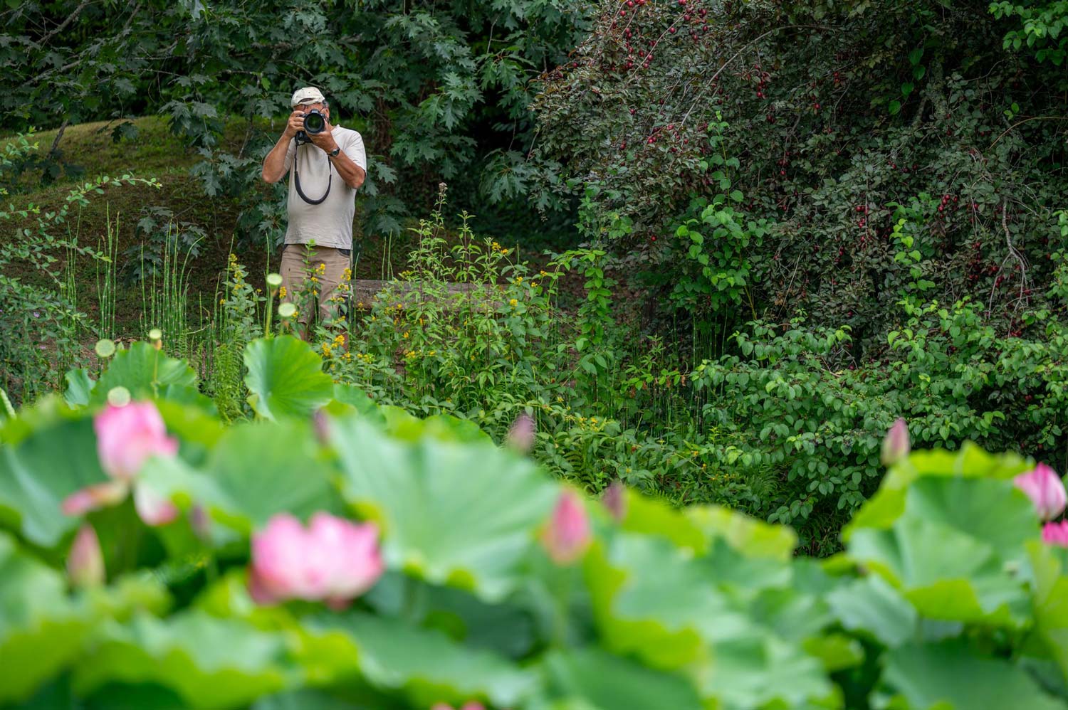 Lire la suite à propos de l’article Pourquoi et comment photographier la nature dans les parcs ?