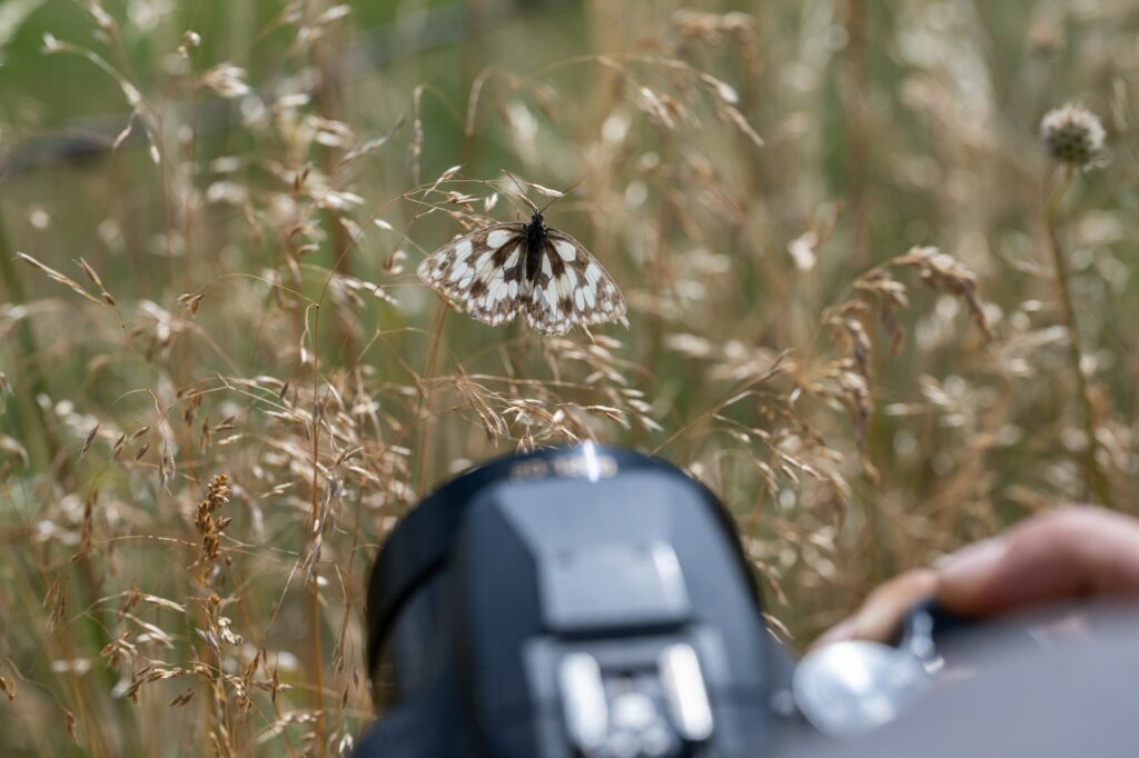 stages photographiques Auvergne