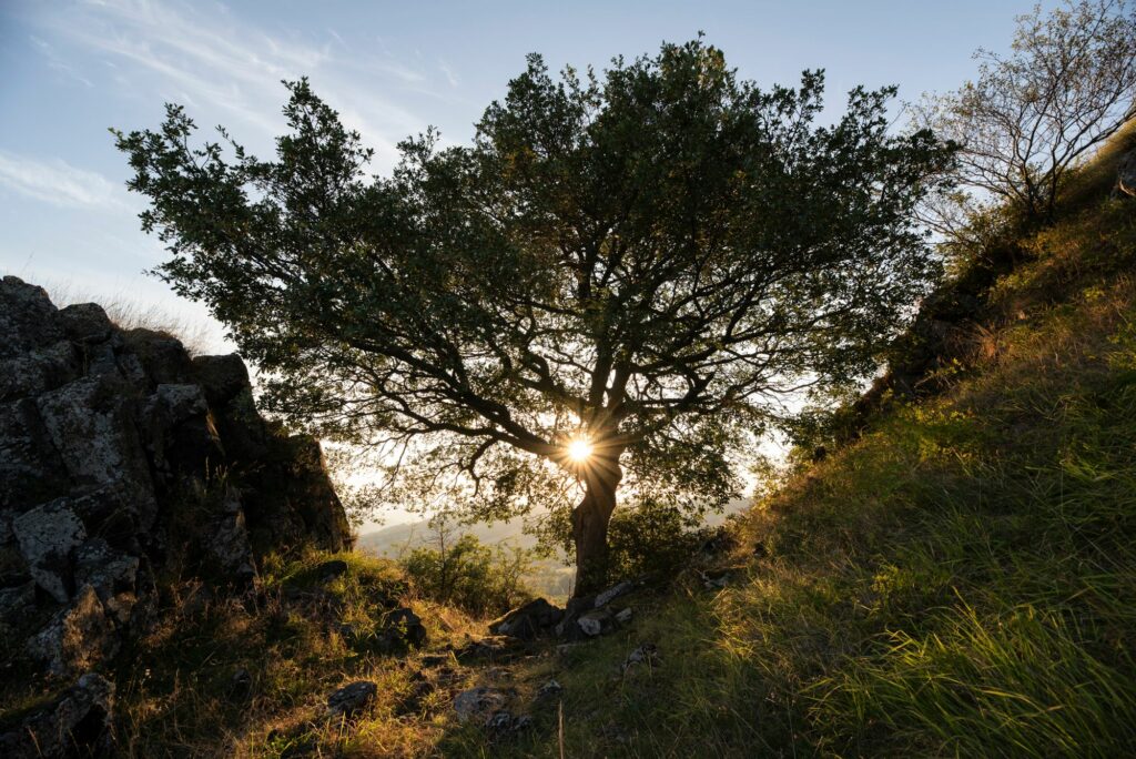 photographie de paysage