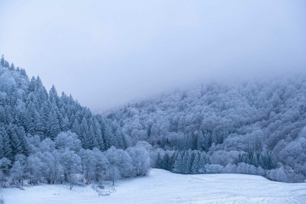 Photographier en hiver
